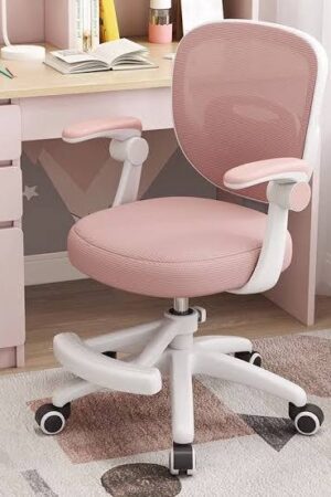 Desk Swivel chair
